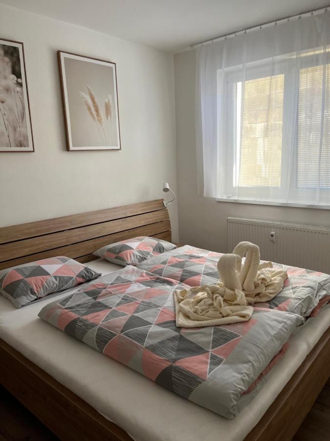 Novy Apartman V Arealu Wellness Hotelu Frymburk Zewnętrze zdjęcie