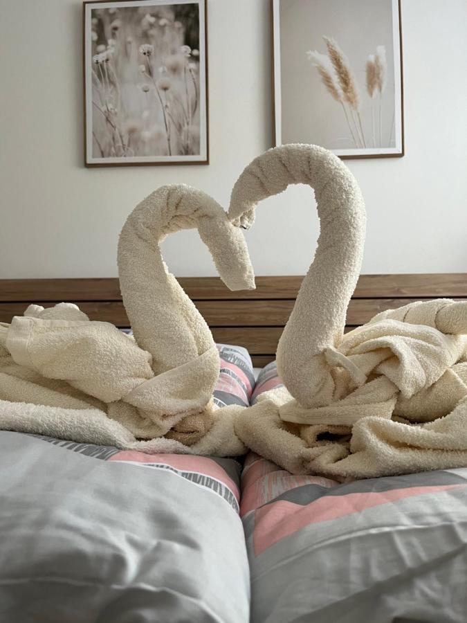 Novy Apartman V Arealu Wellness Hotelu Frymburk Zewnętrze zdjęcie